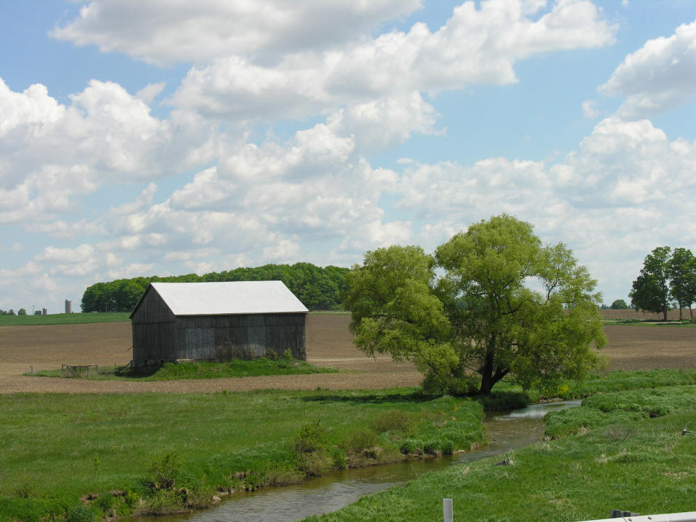 Old grey barn and a tree beside a stream out in farmland country