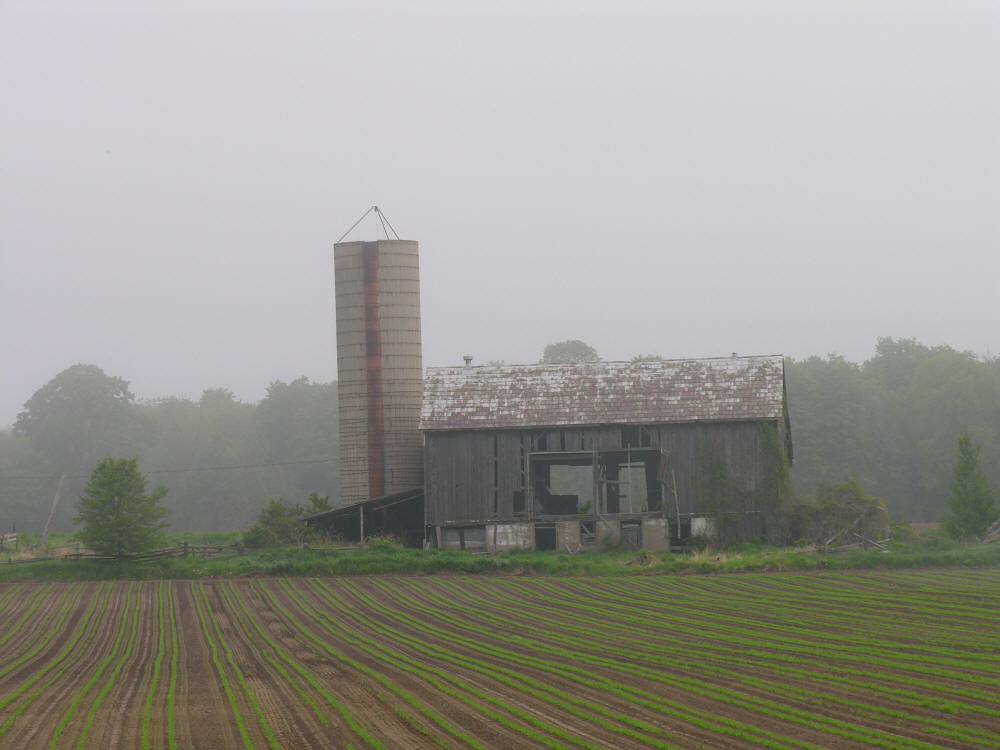 Rusty old grey barn at dawn on a misty foggy morning on a country farm in Southern Ontario