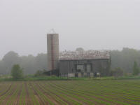 Old grey barn at dawn on misty foggy morning in Southern Ontario