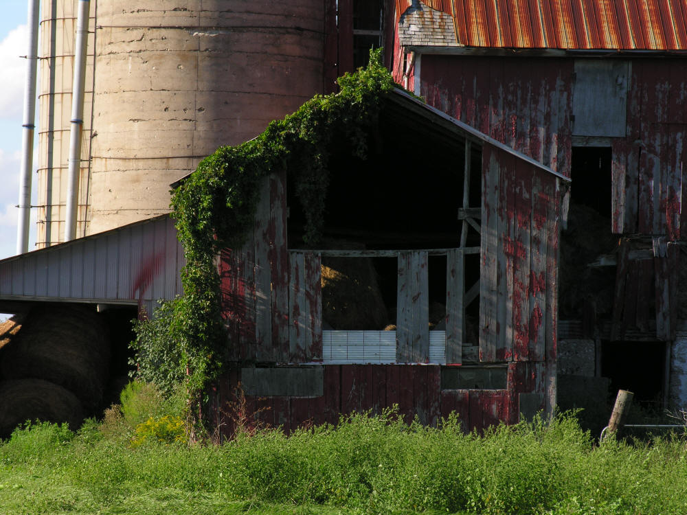 Rustic old red barn with grey weathered barboard and concrete silo