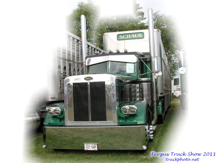 Green Peterbilt Schaus Livestock Trailer